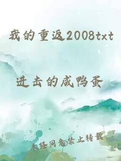 我的重返2008txt