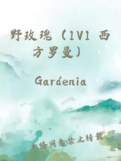 野玫瑰（1V1 西方罗曼）