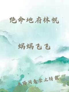 绝命地府林帆