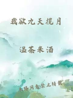 我欲九天揽月